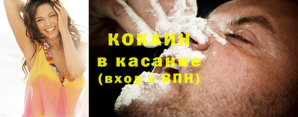 стаф Бородино