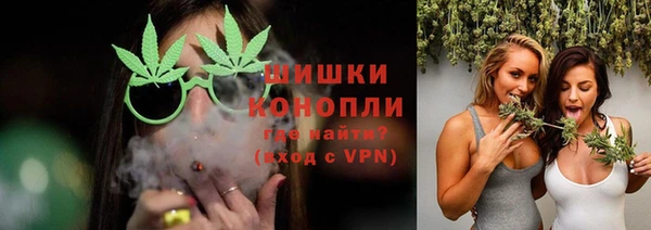 стаф Бородино