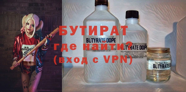 стаф Бородино
