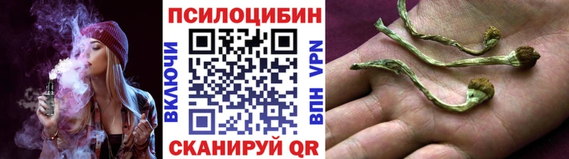 где купить наркоту  Осташков  Галлюциногенные грибы MAGIC MUSHROOMS 